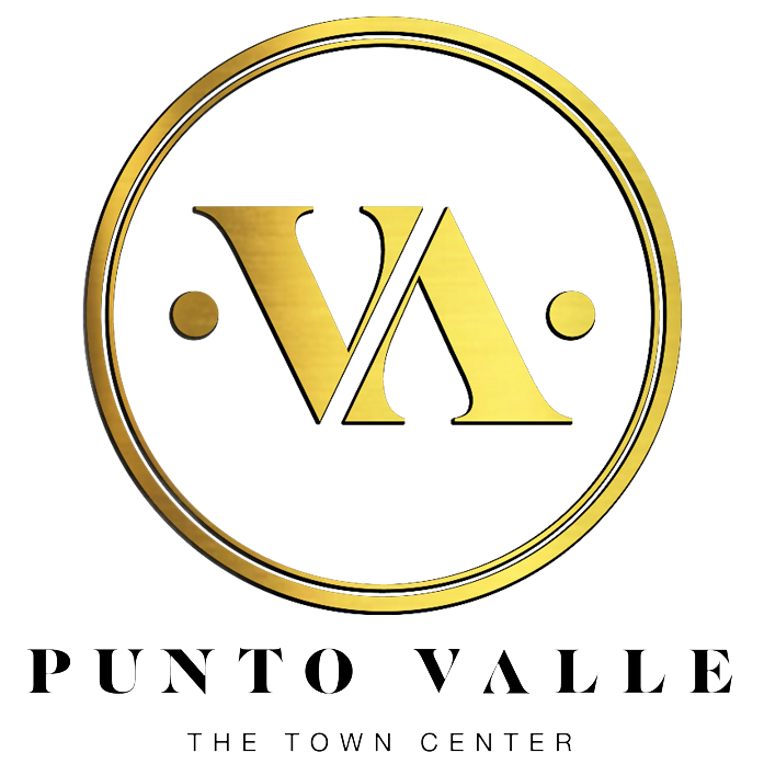 Punto Valle Logo